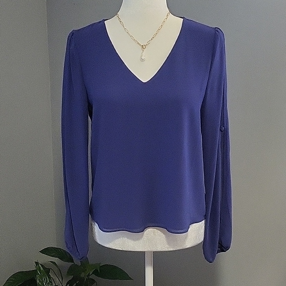 Naked Zebra Blue Blouse with Sheer Sleeves with Slits and Button Detail - Sz S